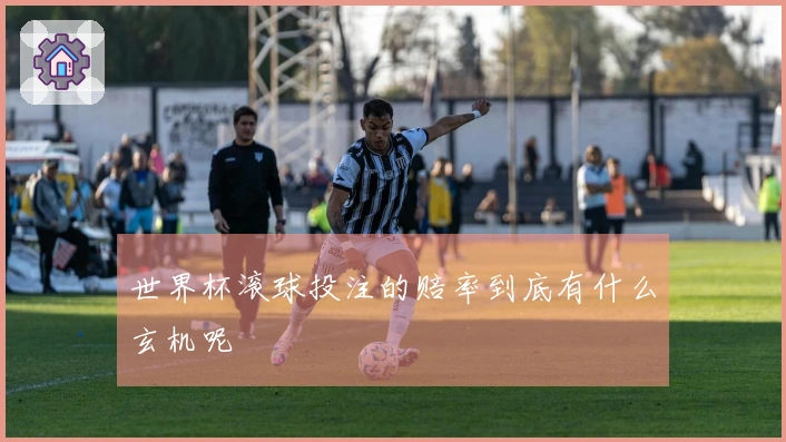 世界杯滚球投注的赔率到底有什么玄机呢