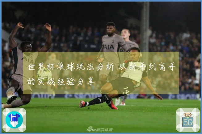 世界杯滚球玩法分析 从新手到高手的实战经验分享